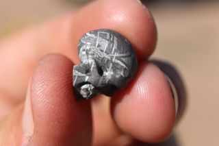Gibeon Meteorite Skull 4.  8 grams ETCH 6