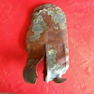 Prop Tip Artifact From The Crash Of C - 45g 57 - 11536 On 1 - 20 - 57 Nr.  Mtn.  Pass,  Ca.