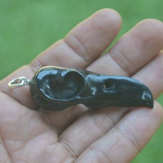 Raven Skull Carving Pendant 54mm Length P3761 W/ Silver In Buffalo Horn Carved