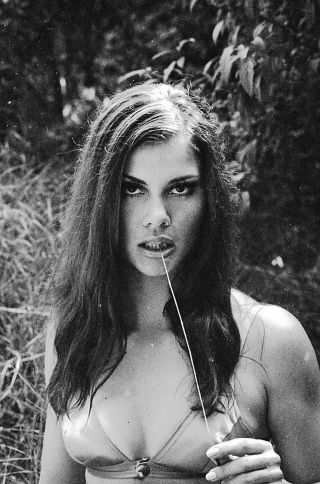 1960s Miller Negative,  Gorgeous Pin - Up Girl Wendy Wayne In Sexy Bikini,  T231675