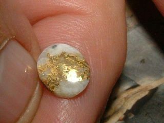 16to1 Mine Gold Quartz Cabochon 2.  2 Carats Natural Gold In Quartz Gemstone