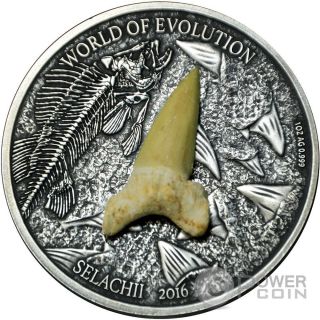 Selachii World Of Evolution 1 Oz Silver Coin 1000 Francs Burkina Faso 2016