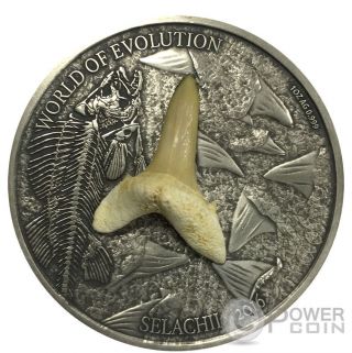 SELACHII World of Evolution 1 Oz Silver Coin 1000 Francs Burkina Faso 2016 3