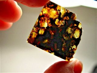 Great Deal Crystals Sensational Seymchan Pallasite Meteorite 9.  6 Gms
