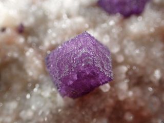 Fluorite Purple Dodecahedrons On Quartz Rare Locality Buxieres,  France