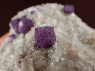 FLUORITE PURPLE DODECAHEDRONS ON QUARTZ RARE LOCALITY Buxieres,  FRANCE 5