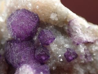 FLUORITE PURPLE DODECAHEDRONS ON QUARTZ RARE LOCALITY Buxieres,  FRANCE 6