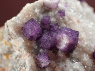 FLUORITE PURPLE DODECAHEDRONS ON QUARTZ RARE LOCALITY Buxieres,  FRANCE 7
