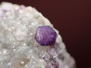 FLUORITE PURPLE DODECAHEDRONS ON QUARTZ RARE LOCALITY Buxieres,  FRANCE 8