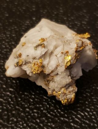 California Gold Quartz Specimen Natural Gold Nugget 16 Gram Gold In Quartz
