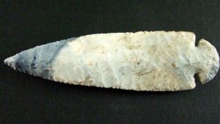 Fine Authentic 5 1/4 Inch Collector Grade Kentucky Dovetail Point Arrowheads 3