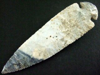 Fine Authentic 5 1/4 Inch Collector Grade Kentucky Dovetail Point Arrowheads 4