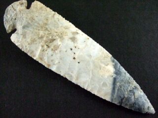 Fine Authentic 5 1/4 Inch Collector Grade Kentucky Dovetail Point Arrowheads 5