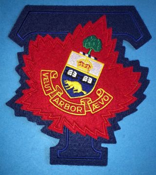 Rare Vintage University Of Toronto Varsity Blues Letterman Jacket Large Patch