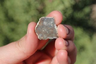 NWA 11182 Meteorite slice Lunar Meteorite 1.  7 gram full slice MOON ROCK 3
