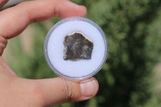 NWA 11182 Meteorite slice Lunar Meteorite 1.  7 gram full slice MOON ROCK 5