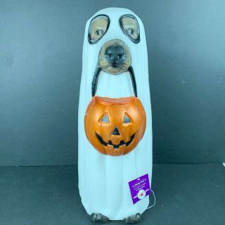 Halloween Dog As Ghost Blow Mold Led Color Changing Trick Or Treat Yard Decor