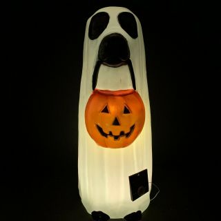 Halloween Dog as Ghost Blow Mold LED Color Changing Trick or Treat Yard Decor 7