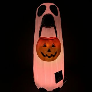 Halloween Dog as Ghost Blow Mold LED Color Changing Trick or Treat Yard Decor 8