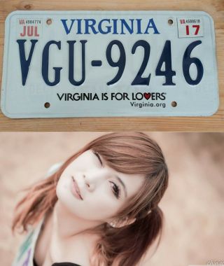 Virginia Is For Lovers.  Virginia.  Org License Plate In