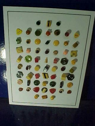 62 - 1930s Bakelite Buttons Various Size,  Design Mounted On Display Card