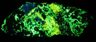 Esperite,  Willemite,  Fluorescent Minerals Five Color,  Franklin,  Nj