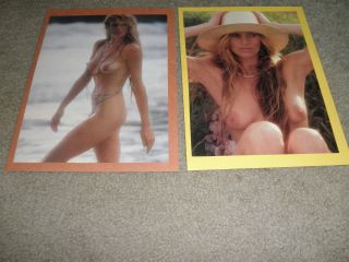 Gorgeous Kim Basinger Sexy Photos - 8 X 10 -