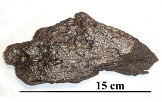Meteorite,  Ataxite Dronino,  Russia,  Complete Sandblasted Piece,  662 Grams