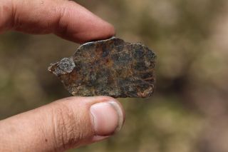 Nwa 7831 Diogenite Meteorite 7 Gram Full Slice