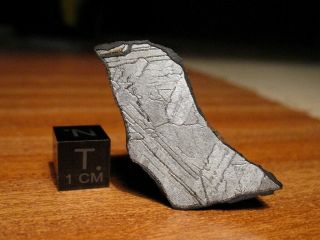 Meteorite Nwa 12770 - Iron (medium Octahedrite ; Iiiab) - Endcut Of 41.  91g