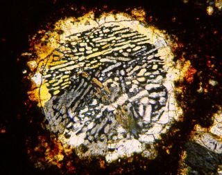 Meteorite NWA 5930 - CV3 Carbonaceous Chondrite Thin Section slide 2