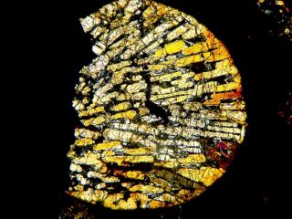 Meteorite NWA 5930 - CV3 Carbonaceous Chondrite Thin Section slide 4