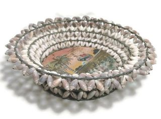 Vintage Acapulco Mid - Century Souvenir Shell Basket Made In Mexico 1940s - 50s
