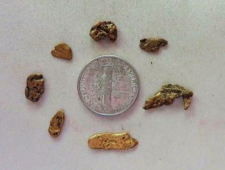 8 Gold Nuggets From Hughes River Virginia 3.  9 Grams Ex Mendel Peterson