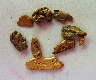 8 Gold Nuggets From Hughes River Virginia 3.  9 Grams Ex Mendel Peterson 2