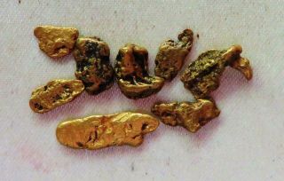 8 Gold Nuggets From Hughes River Virginia 3.  9 Grams Ex Mendel Peterson 3