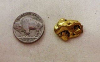 9.  524 Gram Gold Nugget From Hughes River Virginia Ex: Mendel Peterson