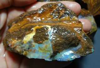 Natural Boulder Opal Rough Parcel From Winton 2.  15 KG Total Lapidary Hobby 4
