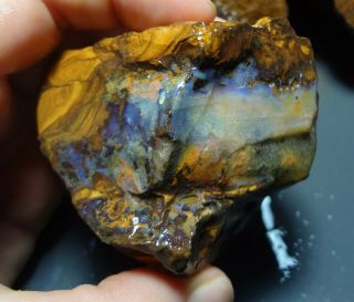 Natural Boulder Opal Rough Parcel From Winton 2.  15 KG Total Lapidary Hobby 5