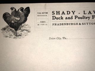 Shady Lawn Duck & Poultry Farm Fradenburgh & Sutton Union City Pa Letterhead Hen