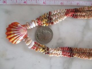Sunrise Kahelelani shell necklace.  Incredible Fire Red Sunrise/AAA Quality 4