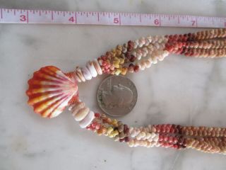 Sunrise Kahelelani shell necklace.  Incredible Fire Red Sunrise/AAA Quality 5