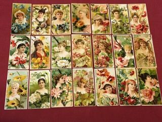 DUKE ' S CIGARETTES FLORAL BEAUTIES 50 Tobacco Cards Compete? 3