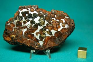 Sericho Pallasite Meteorite 124.  1 Grams