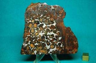 Sericho Meteorite Pallasite 238.  5 Grams