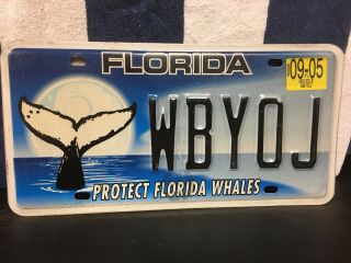 2005 Florida License Plate “protect Florida Whales”