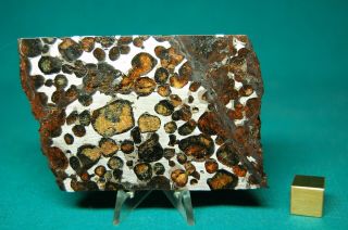 Sericho Pallasite Meteorite 94.  8 Grams