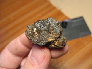 Nwa 12474 - The First And Only Meteorite Classified Cr3 - Individual