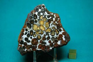 Sericho Meteorite Pallasite 414 Grams