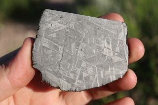 Muonionalusta Meteorite Etched Part Slice 60.  3 Grams